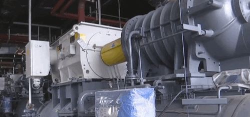 農產品精深加工賦能鄉村振興 高質量項目引領糧菜增值與產業協同發展